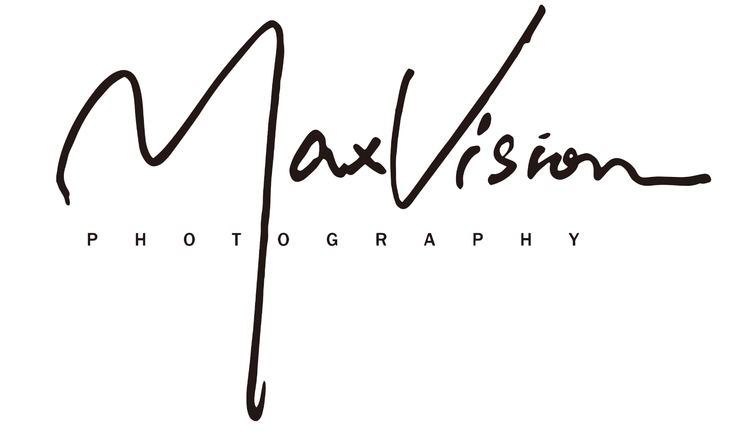 ロゴ｜MaxVision