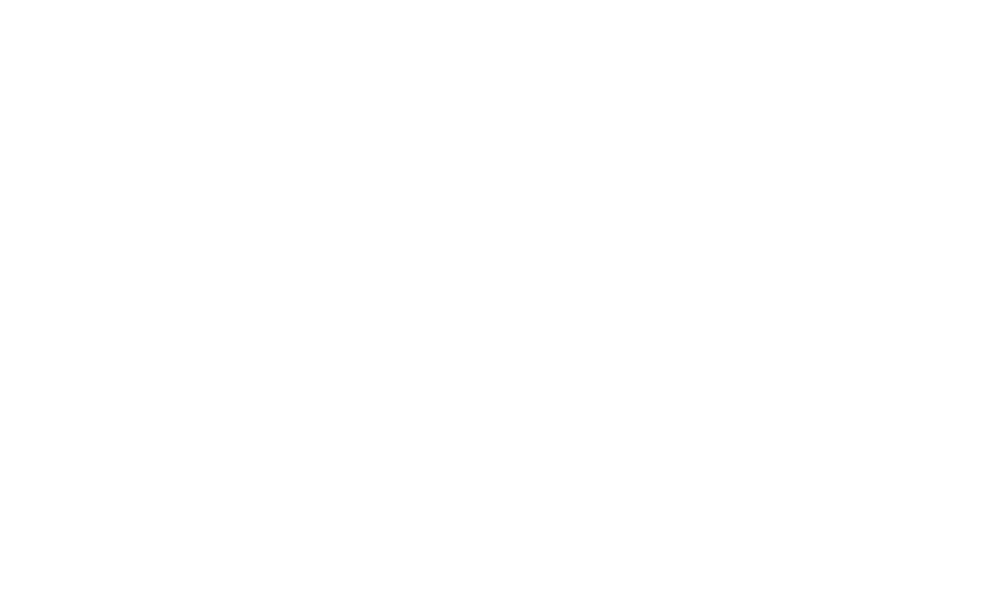 ロゴ｜MaxVision